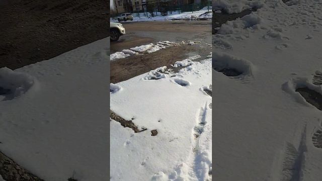 прогулка в лесу  LOnix