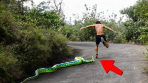 Невероятные Рефлексы_ Снятые на Камеру(1080P_HD)