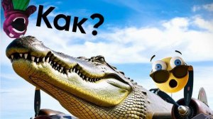 🤔Угадай Итальянских мемных зверей которых создал ChatGPT.🤨