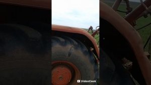 тэстик