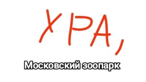 Московский зоопарк