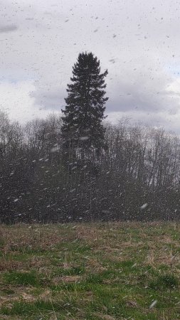 Находка товарища