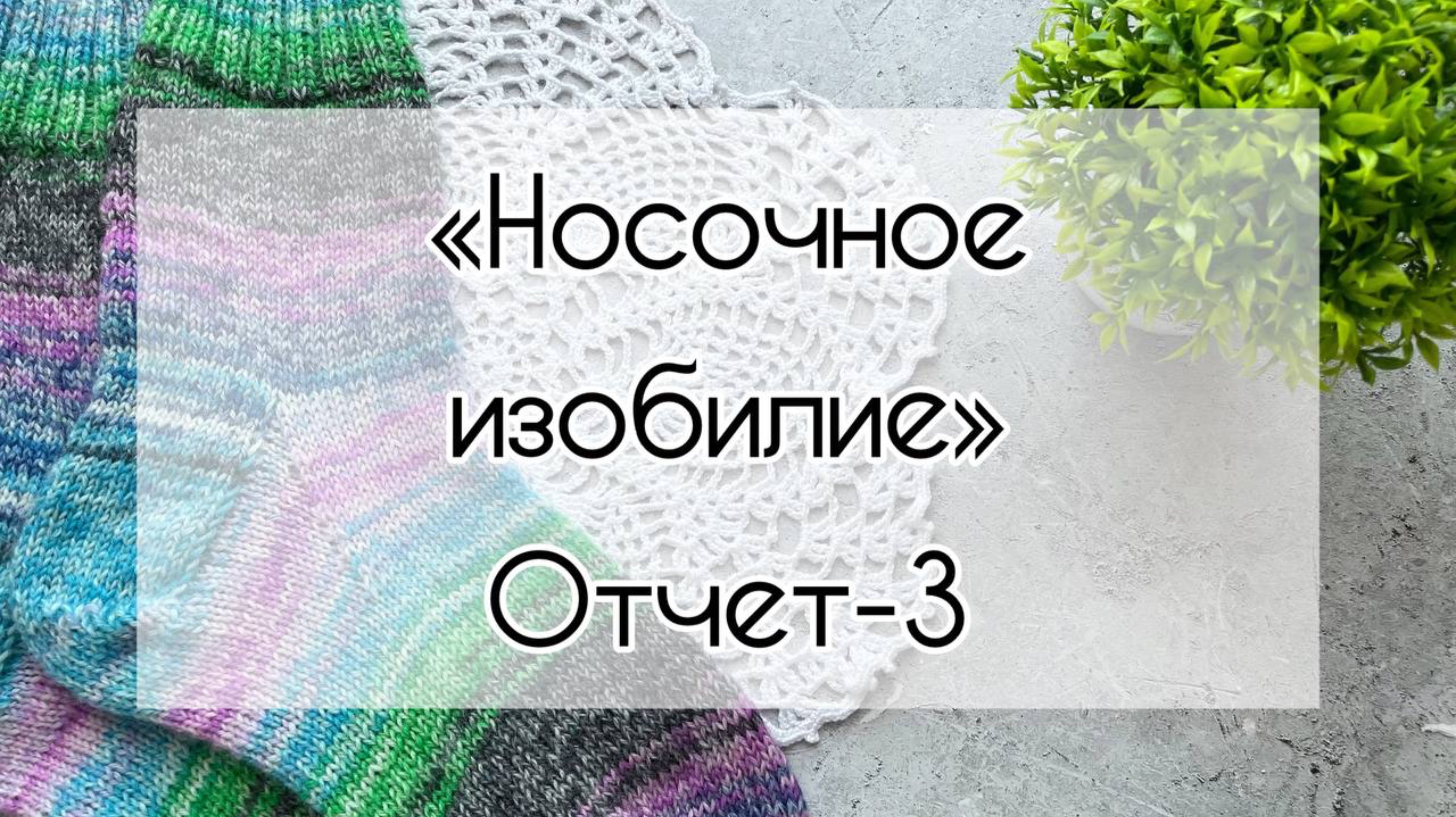 СП «Носочное изобилие» 💗 Отчет-3 🌿Апрель🌿