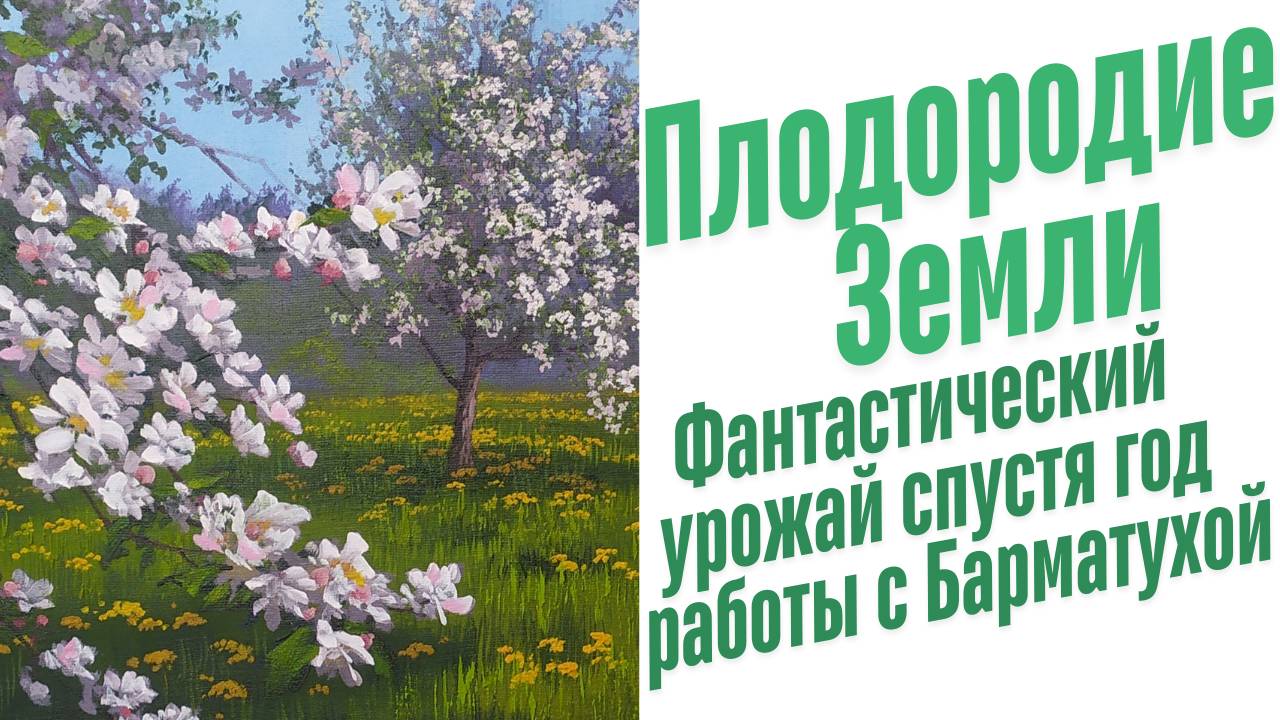 Как ухаживать за яблоней?