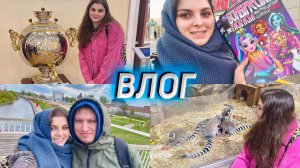 ТУЛА: где самовары соседствуют с драконами ВЛОГ №2
