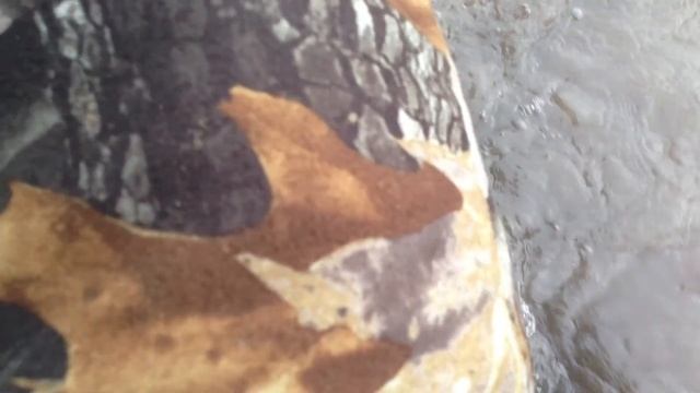 заплыв Ставропль смотреть онлайн