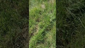 Ралли трасса(совместное видео с GLYR)