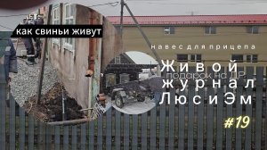 Муся ПЕРЕДЕЛЫВАЕТ навес и строит НАВЕС для телеги/Люси Эм 2024