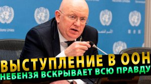 ВЫСТУПЛЕНИЕ В ООН! Небензя вскрывает всю правду про конфликт!