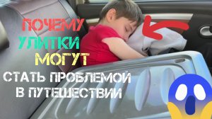 ✨🐌Минусов много не бывает:Почему улитки ахатины могут стать настоящей проблемой в путешествии?🐌✨