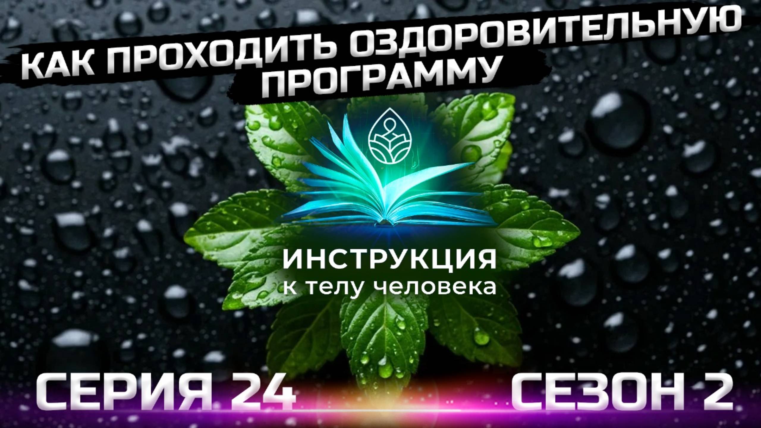 Несколько месяцев спустя после завершения программы  (серия 24)