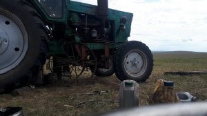 Разбор трактора МТЗ 50-80 в полевых условиях