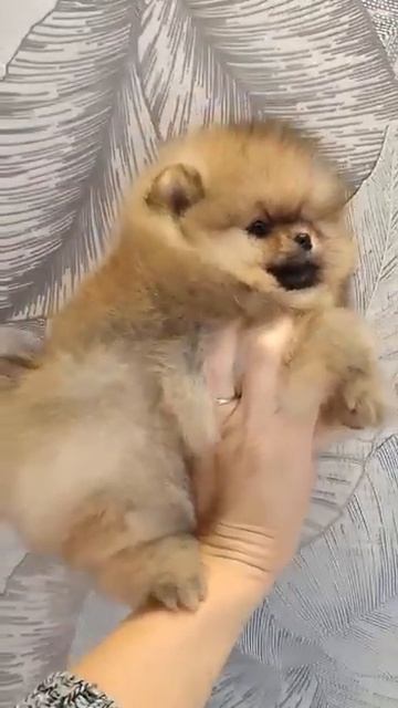 Улыбка