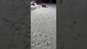 МОЙ ПОДАРОК ОТ СУДЬБЫ... видео от Екатерины