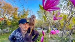 Люся ЦВЕТОЧНАЯ ФЕЯ! Люська, не может спокойно пройти мимо цветущих магнолий