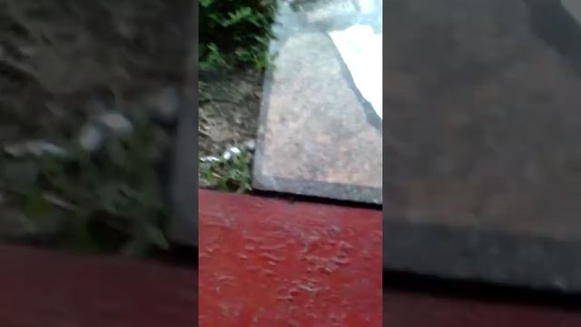 Я издеваюсь над пони
