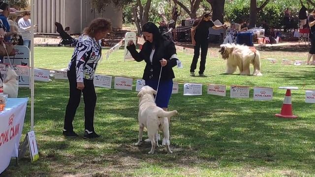 Выставка 29.05.2021. смотреть онлайн