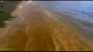 JA_TAK_HOChU_SLUZhIT_TOLKO_TEBE_MOJ_BOG-world79.spcs.bio