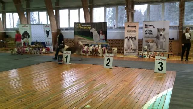 Сравнение на ЛПП смотреть онлайн