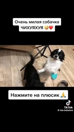 Чахуяшка