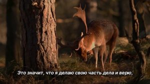 "Шаг Седьмой". 21 мая. Мужество меняться. Ежедневник для созависимых.