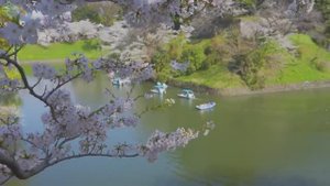 Отличная расслабляющая музыка для сердца и сосудов 🌿 Музыка лечит душу, снимает стресс #4