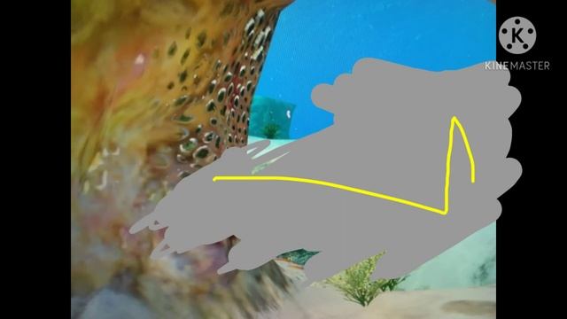 Subnautica for noobs part 1:крушение авроры и рыба террорист