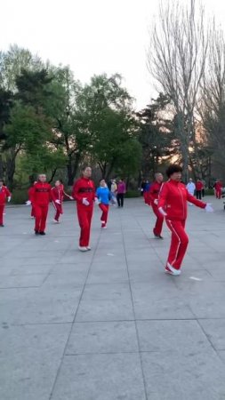 Как китайцы отдыхают в парках. часть 3