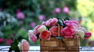 ❤ ♥ ❤ Звук, пробирающий до мурашек - Reasons -- xj5000 -- Grooba.mp4