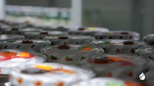 Ферма превью для сайта