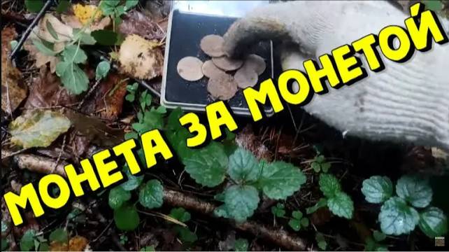 Рассыпуха монет в лесу Поиск с металлоискателем