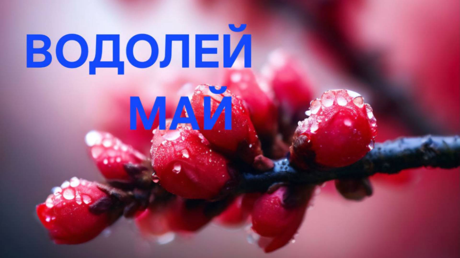 ВОДОЛЕЙ. ТАРО ПРОГНОЗ НА МАЙ