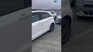 Какие тачки везут автовозами из Владивостока полная версия