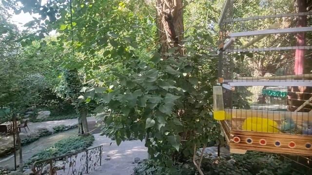 УЗБЕКИСТАН! КИШЛАК И УЛИЧНАЯ ЕДА!🍗 П-К ЭЙВАЛЕК. КОКТЕЙЛЬ ИЗ СССР!🥛