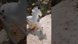 Кто я? Шляйх сериал. Часть вторая :воспоминания.#лошади шляйх