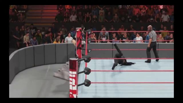Liny Danger vs Tamina |Raw Womens championship