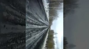 Зимник 2016