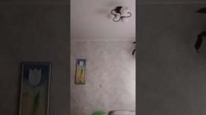 косплей на Вару. 13 карт косплей #Cospley