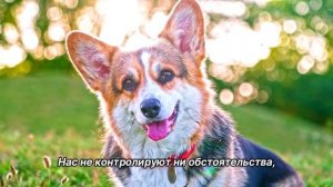 "Видеть альтернативу". 27 мая. Мелоди Битти. Ежедневник для созависимых.