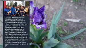 Николаев 1 мая 2025 года (новости)