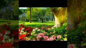 Иисус — в нашем сердце! Нам, молодым