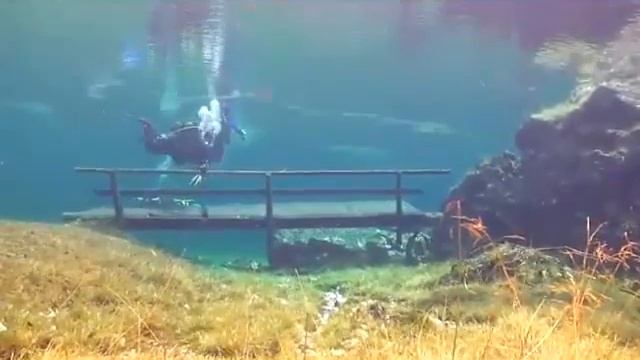 Затопленая поляна / Flooded meadow смотреть онлайн