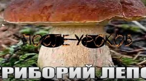 р
