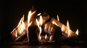 Горение в газовой каминной топке Schmid