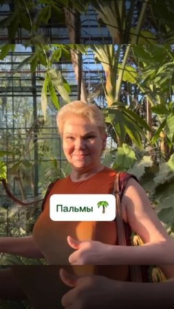 Шли к сакуре, а нашли джунгли