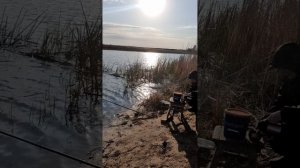Мы снова на рыбалке😃🐟