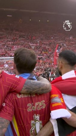 Goosebumps