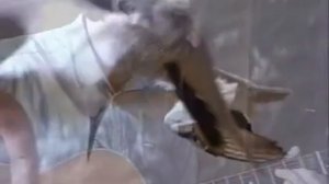 Игорь Малыгин - Головушка