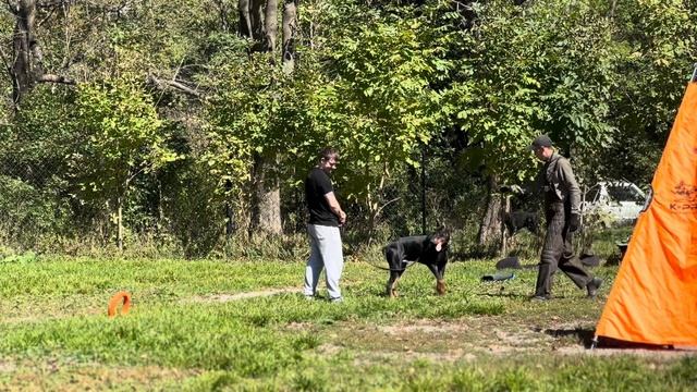 Мое первое посещение площадки в УДЦ Фаворит. Владивосток❤️ смотреть онлайн
