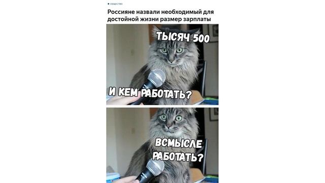 Лютые приколы. Крыса в тапочках. Ничего особенного... смотреть онлайн